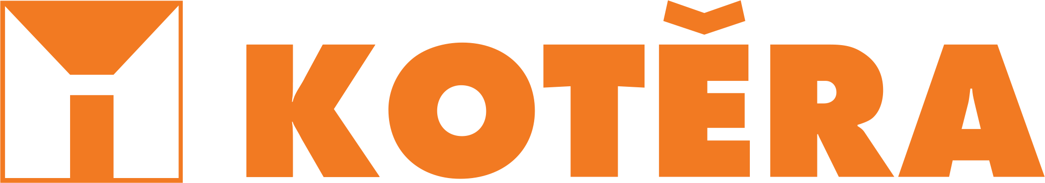 Primary Raster logo